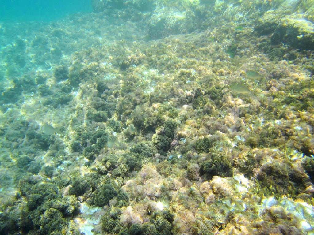 Апартаменты Sea Of Eden Дубровник Экстерьер фото